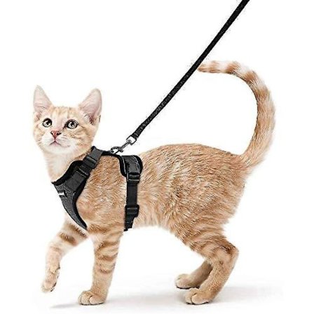 Rabbitgoo Cat Harness And Leash For Walking, Escape Proof Soft Adjustable Vest Harnesses For Cats, Easy Control