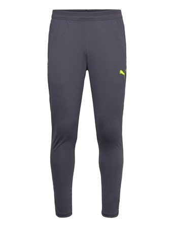 PUMA Individualcup Training Pants - Grey - XL