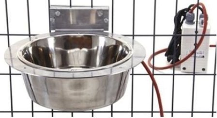 Jämpti Heatable Dog Drinking Cup Inside Shelter