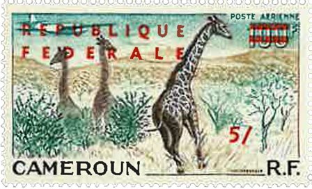 Cameroun 1961-1962 - Luftpost YT 49a - Postfrisk