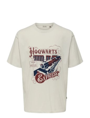 ONLY & SONS Onsxmas Rlx Ss Tee Hp - Cream - L