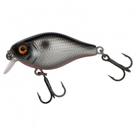 Berkley Pulse Fry Shallow 3.8cm - Fegis