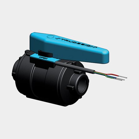 Kulový ventil TruDesign Monitored Ball Valve Lever, kompozit, 3/4" G (BSP)