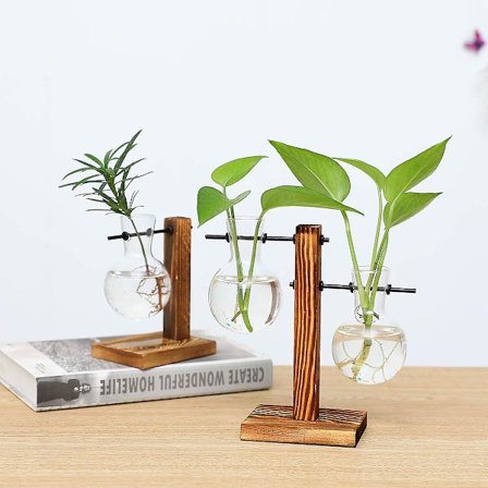 2024 2-pakkaus kasvi-terrarium puutelineellä, ilmakukka ruukku lamppu lasimaljakko lisääntymisasema, (3 lamppumaljakkoa)