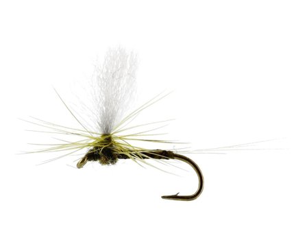 Baetis Dun Quill Olive TMC100 #18