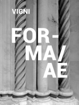 Forma/ae. Siena dentro e fuori. Ediz. italiana e inglese Stefano Vigni