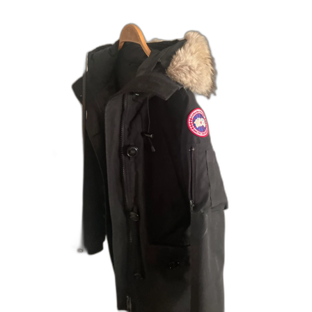 Svart canada goose