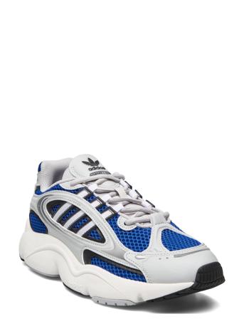 Ozmillen Adidas Originals Grey