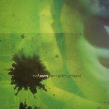 Birds in the ground EIAFUAWN