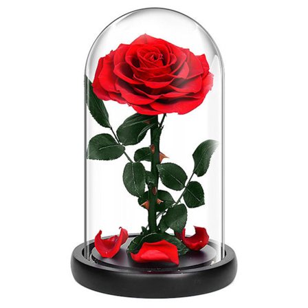 Konserverad Ros Blomma Evighetsros I Glas Med LED-lampor Handgjord Unik Present Till Alla Hjärtans Dag Röd