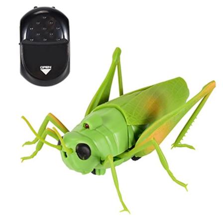 Nyhet Mini-fjärrkontroll leksak Realistisk gräshoppa barn lindra tristess
