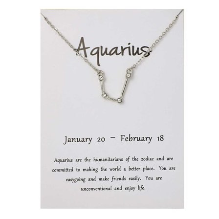 Zodiac Sign halskjede Vannmannen Vannmannsgave halskjede sølv