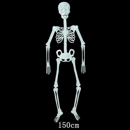 32/90/150 cm Poseable Human Skelett Halloween Dekoration Party
