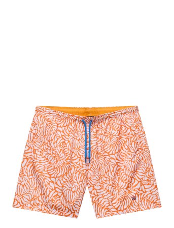 Napapijri | V-Inuvik 1 | XL