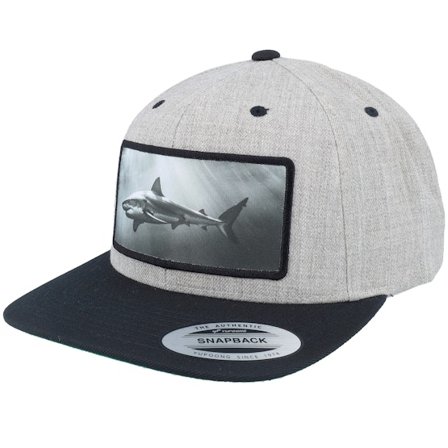 Calza Pennello - Shark Big Patch Heather Grey/Black Snapback Snapback Grey Cap - @ Hatstore