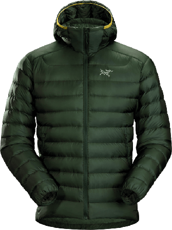 Arc'teryx Men's Cerium LT Hoody Men warmly-lined down jackets Green M