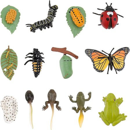 3 sæt legetøj i plastik til livscyklus - mariehøne, frø og sommerfugle-voksesæt