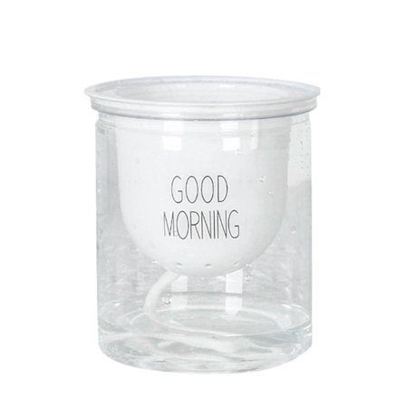 Automatisk absorption växtkruka Självbevattning Utomhus Trädgård Hem Rund Transparent Blomkruka Planter Container