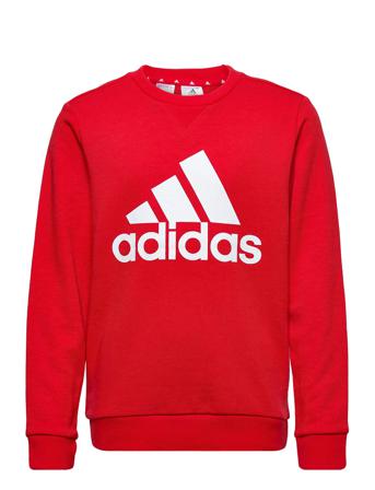 Essentials Sweatshirt Sweat-shirt Genser Rød Adidas Performance