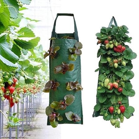 Vägghängande vertikal trädgård 4 8 fickor Plant Grow Bags