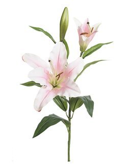 Konstväxt snittblomma Lilja 70 cm 1p Ljusrosa - Mr Plant