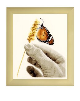 Bild Schmetterling - Vervaco