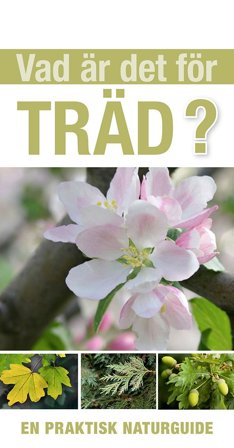 Vad är det för träd?, ISBN: 9789180377720