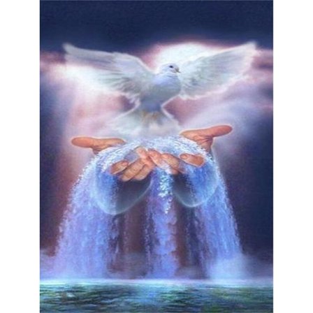 30 x 40 cm ,Duedrossel Diamantmaleri Broderi Diamant Maleri