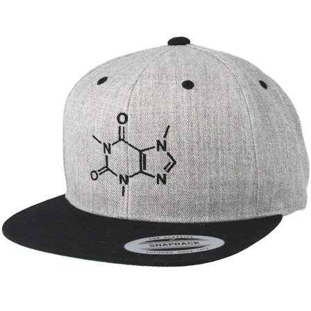 Iconic - Gris snapback Casquette - Caffeine Molecule Grey/Black Snapback @ Hatstore
