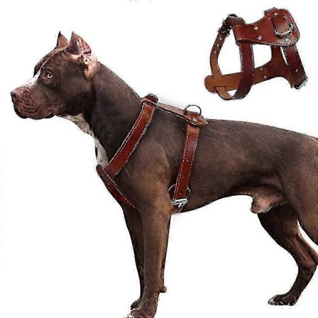 Kraftig Hundesele i Ægte Læder til Små og Store Racer Inklusive Boxere