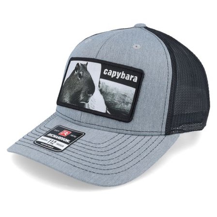 Iconic - Grå trucker Keps - Capybara Sofa Grey/Black Trucker @ Hatstore