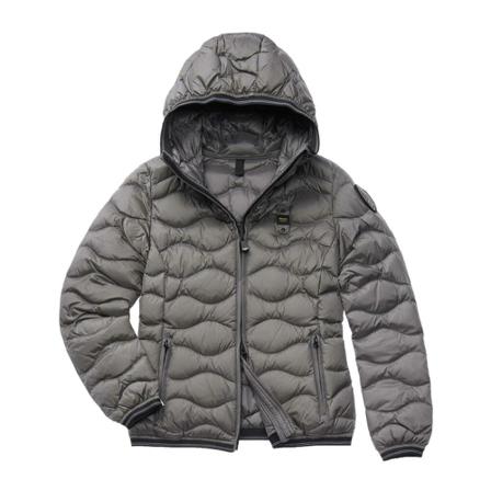 Blauer, Down Jackets Grijs, Dames, Maat:L,nylon