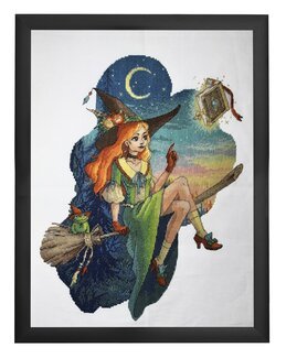 Kirjontapakkaus Taulu Lentävä luuta-Riolis