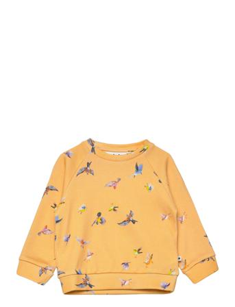 Dicte Sweatshirt Trøje Multi/mønstret Molo