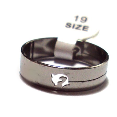 Rostfritt stål ring