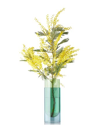 Studio About Bouquet Tube - Green - H27CM
