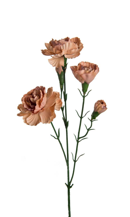 Mr Plant Kunstig Blomst Nellik-Fersken H65