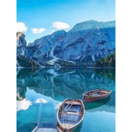 5D Diamant Maleri Korssting Fuld Diamant, Håndlavede Firkantede & Runde Diamanter DIY - FJ01115