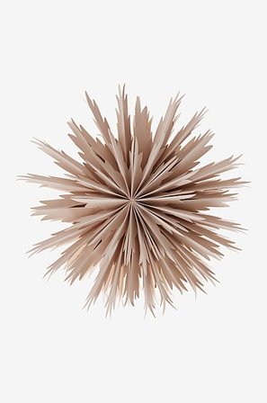 Jotex - BELLATRIX joulutähti ø 51 cm Puuteribeige - Osta Valotähdet Jotex