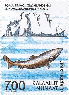 Grønland 2002 - AFA 395 - Postfrisk