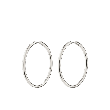 Pilgrim Eanna Earrings Smycken & klockor Dam Silver ONESIZE