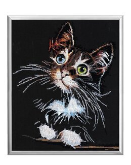 Broderikit Billede Kat - Abris Art