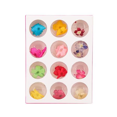 12 Farger Naturlige Tørkede Blomster for Akryl UV Gel Neglekunst Tips Design Etui DIY Dekor