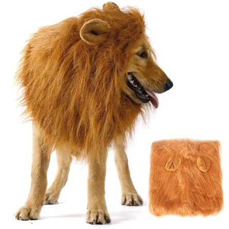 Kostym Lejonman Peruk Hund Katt Halloween Kläder Fancy Cosplay
