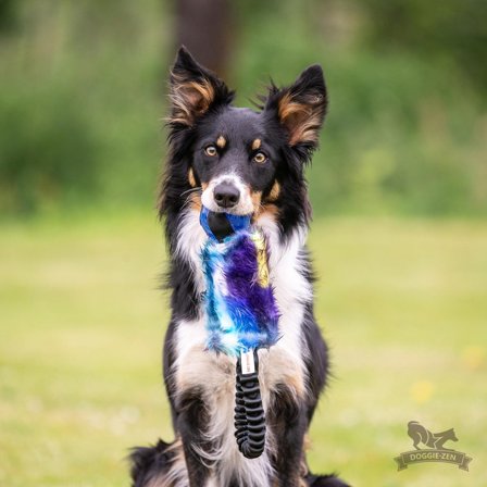 Doggie-Zen Elastisk Hundeleke med KONG Squeezz Ball - 33cm