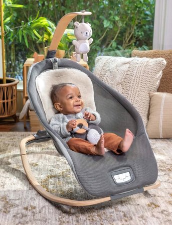Ingenuity Every Season Rocking Seat - Wesley - Grey - ONE SIZE