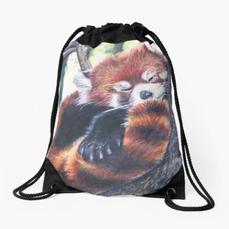 Dragsko Väska Röd Panda Drawing Sport Gym Skor Ryggsäck