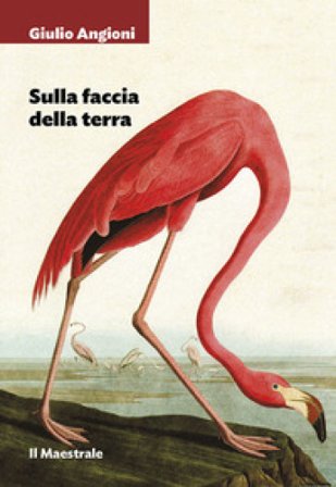 Sulla faccia della terra Giulio Angioni