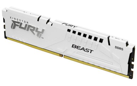 Kingston FURY Beast - DDR5 - modul - 32 GB - DIMM 288-pin - 5600 MHz / PC5-44800 - ikke-bufret