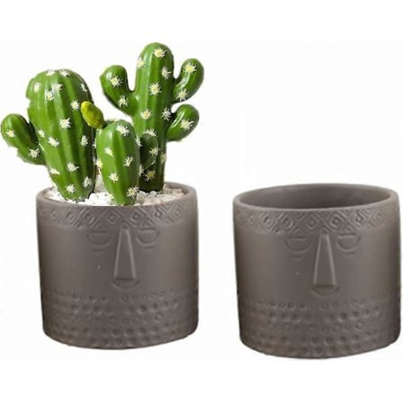 Sæt med 2 keramiske urtepotter til sukkulenter, kreative urtepotter til stue, kontor (grå)